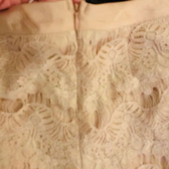NWT⭐️Beautiful Lace blush shorts - Picture 5 of 5